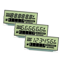 Pantalla LCD de 7 Segmentos Personalizable GW056 SCCdisplay, Tamaño Pequeño, Antideslumbrante, 53.8x24.5x2.8mm, Pines Metálicos, -20~+70 Grados de Temperatura Operativa