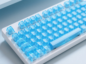 คีย์แคปคริสตัลแบบปรับแต่งได้-สีฟ้าอาร์กติกโปร่งแสง PBT 130 ปุ่ม พร้อมตำราเรืองแสงสำหรับคีย์บอร์ดเกมมิ่ง/สำนักงาน ยี่ห้อเทคเร็กซี่ - Product Image 5