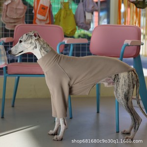 Camiseta de cuello alto de color liso para primavera, en stock, para <span class=keywords><strong>Galgo</strong></span> Italiano y Whippet, ropa informal para mascotas - Product Image 4