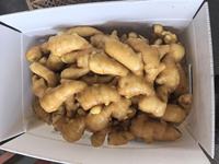 Gingembre frais de nouvelle saison à bas prix, gingembre chinois de haute qualité, approvisionnement en vrac