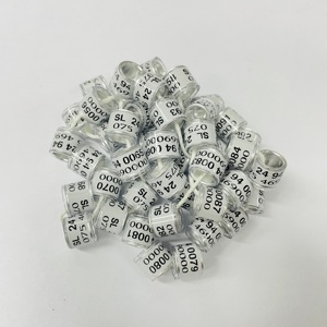 Cvd Fabriek Directe Producten Plastic Duif Afdrukken <span class=keywords><strong>Ring</strong></span> Kleurrijke Topkwaliteit Duiven Ringen Te Koop/8/ - Product Image 4