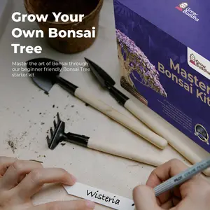 Beste innovative Garten produkte schweben Luft Master Bonsai Topf Rotation Blumentopf Plante Kit mit Garten pflanze Etikett