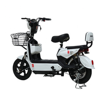 Meilleure Batterie de Stockage pour Vélo Électrique Golden Eagle, Cadre en Acier, 48V 350W, Deux Places, Conception Chinoise, 2 Roues