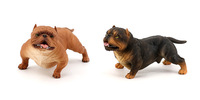 Juego de Figuras de Animales de Alta Simulación, Figuras de Pitbull de Plástico Sólido, Recurso Educativo, Juguetes de Perro para Niños, Regalo