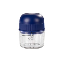 Mini robot culinaire manuel électrique en acier inoxydable type-c rechargeable sans fil broyeur de fruits et légumes PP pilon presse-ail