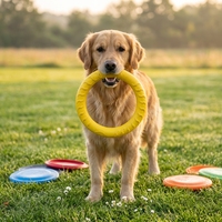 Jouet pour animaux de compagnie EVA pour chats et chiens - Balle de traction, anneau résistant aux morsures, pour le nettoyage des dents, sonore, anti-ennui