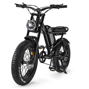 Idpoo Đình Chỉ Đầy Đủ Retro Ebike Offroad Có Thể Sạc Lại Pin 48V 20 Inch Chất Béo Lốp USA Xe Đạp Điện Anh - Product Image 1