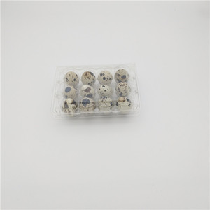 พลาสติกโปร่งใสนกกระทาไข่กล่องบรรจุภัณฑ์ - Product Image 3