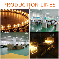 Ampoule LED à filament miniature en plastique Golf Globe 1W E12 SES 110-130V 220-240V Lumière chaude 2700K Ronde G40, FMT-G40