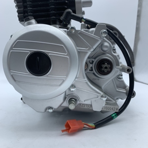 Gruppo Motore per Moto Bajaj 100cc, Motore Bajaj <span class=keywords><strong>Boxer</strong></span> 100cc, Motore per Moto BJ100 - Product Image 6