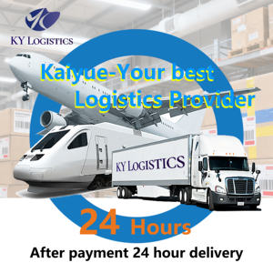 最便宜的空运 最快的海运 从中国到加拿大/澳大利亚/巴拿马 电池网上购物运输 - Product Image 6