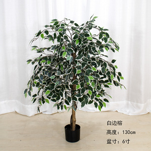 Haut de gamme intérieur artificiel banyan arbre bonheur arbre <span class=keywords><strong>olivier</strong></span> ornement Premium vert plante <span class=keywords><strong>Pot</strong></span> <span class=keywords><strong>pour</strong></span> la maison Ins Photo - Product Image 6