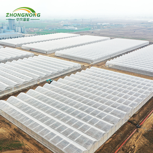 Système d'irrigation hydroponique intelligent pour la culture verticale de la laitue, des fraises et des <span class=keywords><strong>tomates</strong></span>, serre multi-spans en film - Product Image 6