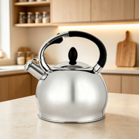 Bouilloire sifflante en acier inoxydable pour cuisinière domestique