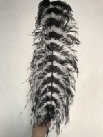 Nouvel Arrivage Plumes d'autruche de 60-65 cm à vendre, Grands éventails en plumes d'autruche, Centre de table en plumes d'autruche
