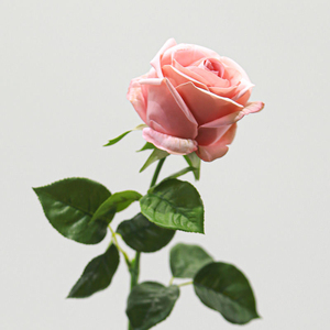 Fleurs artificielles en rose Vénus au toucher réel, 66 cm, pour décorations de Noël, de la Saint-Valentin, de Thanksgiving, de remise de diplômes <span class=keywords><strong>et</strong></span> de fêtes - Product Image 2