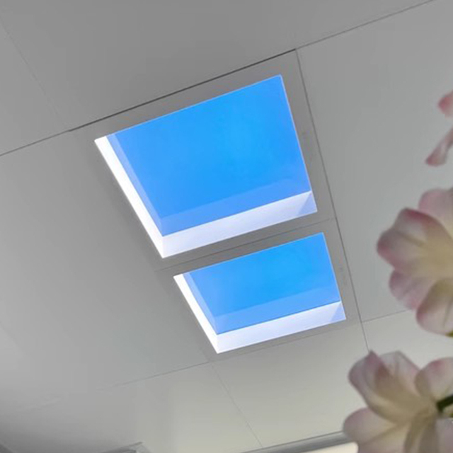 SUEZ Rectangular Skylight Panel Led Ceiling Skylight Embedded Panel Light