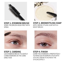 Maquillage des sourcils végan naturel Cosmétiques Crème de beauté et savon Gel After Brows Kit Smudge Proof Eye Brow Soap