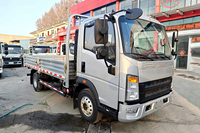 SINOTRUCK HOWO 4x2 Euro 3 Camionnette Utilitaire Diesel d'Occasion Châssis 4L 4T-5T Transport Léger Logistique Livraison