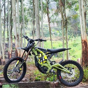 Potente Motocicleta Todoterreno Eléctrica Light Bee de 75 km/h, Motocicleta de Montaña de 8000 W, 60 V, 40 Ah LBX - Product Image 3