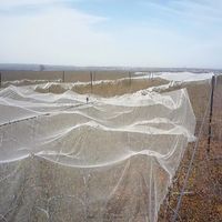 Filet Anti-grêle agricole HDPE/filets de protection contre la grêle pour fruits filets anti-insectes pour le marché du népal