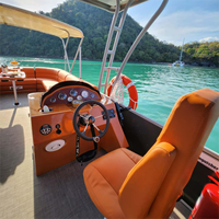 Bateau ponton de luxe à deux étages de 30 pieds, design tout-en-un 2026, avec éclairage LED sur le pont et salle de bain pour les pêches en famille et les fêtes