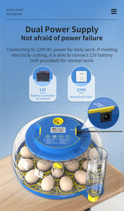 ตู้ฟักไข่ WONEGG รุ่นใหม่ 18 ฟอง ใช้ไฟ AC/DC ตู้ฟักไข่อัตโนมัติสำหรับไข่ - Product Image 5