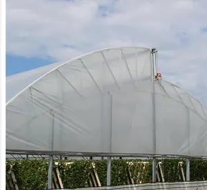 Agricultura ventilación natural verduras plantación ventilación superior techo de diente de sierra invernadero