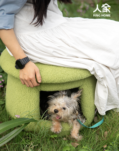 מיטת פטריות לחיות מחמד, מיטת שרפרף לחיות מחמד, ריהוט לחתולים וכלבים, בית חיות מחמד נעים, ריהוט לחיות מחמד לבית - Product Image 3