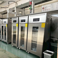 Armoire d'épreuvage multifonctionnelle 36 plateaux pour pain de boulangerie Farine de lait de maïs Retardateur de pâte à sucre Fermentation pour pain croissant