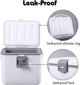 Vente en gros de refroidisseur et réchauffeur de voiture thermoélectrique à semi-conducteurs 20L 12V/AC 100-240V, réfrigérateur portable pour le camping en plein air - Product Image 2