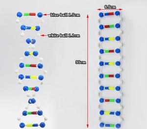 Biologie Pädagogisches Spielzeug Genetische DNA-Struktur DNA-Doppelhelix-Struktur modell - Product Image 1
