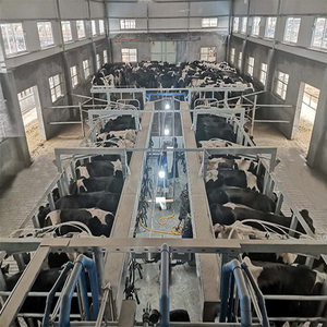 Grande machine à traire automatique électrique <span class=keywords><strong>de</strong></span> vache <span class=keywords><strong>de</strong></span> laiterie <span class=keywords><strong>de</strong></span> la meilleure chevrons avec le <span class=keywords><strong>prix</strong></span> à vendre - Product Image 6