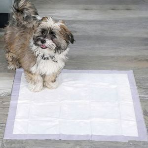 Échantillon Gratuit Produits pour Animaux Super Absorbants Imperméables Tapis de Dressage pour Chiots Couches pour Animaux Tapis d'Entraînement pour Chiens Vente en Gros - Product Image 2
