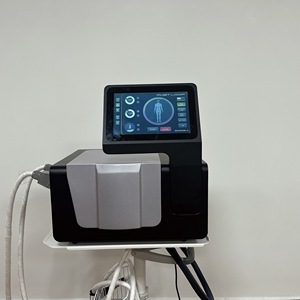 Mesin Terapi PEMF untuk Klinik Fisioterapi Pereda Nyeri Rehabilitasi Otot Peralatan Chiropraktik Matras PEMF Paddle - Product Image 1