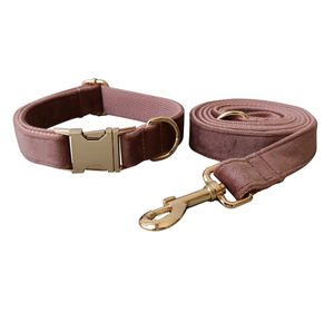 Collar de nailon recubierto resistente a roturas para perro, correa ajustable de entrenamiento para caminar, Collar de <span class=keywords><strong>terciopelo</strong></span> para perro, <span class=keywords><strong>Amazon</strong></span> - Product Image 1