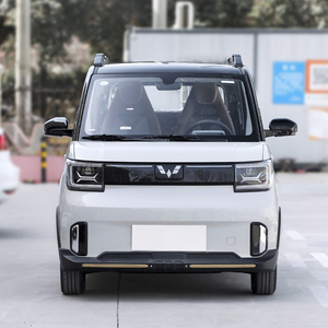 China Marca <span class=keywords><strong>2</strong></span> Puertas Wuling Mini Adulto Vehículo Coche Eléctrico - Product Image 1