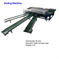 1T 2T 3T Automatische Gewaxte Fruitverwerkingslijn Vers Fruit Mango Citroen Wassen Reiniging Harsen Sorteermachine