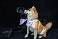 Accessoires pour animaux de compagnie : Bandana triangulaire vierge pour sublimation, en coton doux, personnalisable, avec nœud papillon pour chien