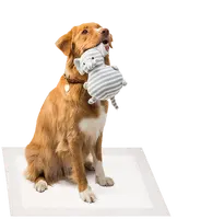 Legend-pañales desechables de algodón puro para mascotas, almohadilla de inodoro para entrenamiento de perros, alta calidad, absorbente de Japón, venta al por mayor