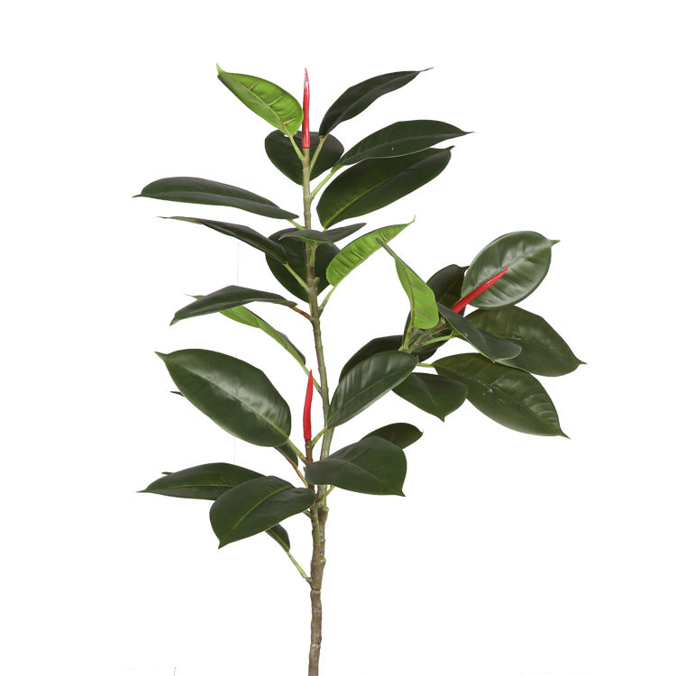 สีเขียวเข้ม