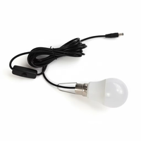 Ampoule LED avec câble de 3 m/5 m et interrupteur, 3 W/5 W/7 W, culot E27/B22, idéale pour système solaire domestique, camping, éclairage d'urgence