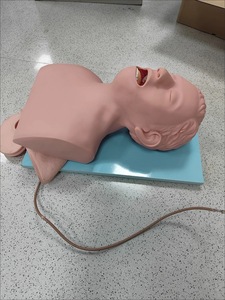 Simulador Electrónico de Intubación Traqueal, Modelo de Entrenamiento con Dientes, Tipo de Alarma de Compresión, Maniquí - Product Image 5