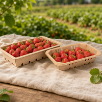 Plateau à fruits en papier kraft blanc avec trous de ventilation personnalisés, impression de logo, présentoir de supermarché, bac à produits frais de qualité alimentaire, fabrication en usine