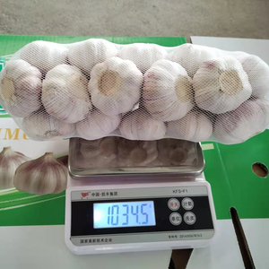 Offre Spéciale – Ail Frais Chinois Blanc Standard 5,0 cm, 1 kg x 10/carton – Prix de Gros Abordable - Product Image 2