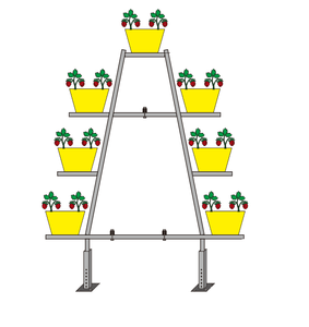 Kích thước khác nhau trồng dài máng xối Dâu Tây Trang trại một loại dọc phát triển năng suất cao nông nghiệp nhà kính - Product Image 2