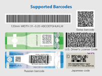 Escáner de Código de Barras Inalámbrico Dyscan DS5900B-2D, Escáner de Código QR Automático Inalámbrico USB 2D, Lector de Códigos de Barras PDF417 Data Matrix