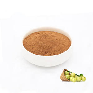 สารสกัดจากผลไม้บริสุทธิ์สารสกัดจาก Phyllanthus emblica - Product Image 2