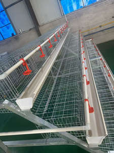 Approvisionnement d'usine galvanisé à chaud 60 oiseaux/poulets capacité Cage à poulet volaille Cage à poulet - Product Image 4