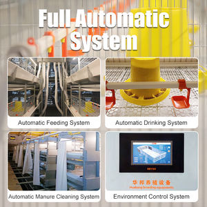 Cage pour poulets de chair de volaille avec système de suppression et de contrôle du fumier pour poulailler industriel - Product Image 5